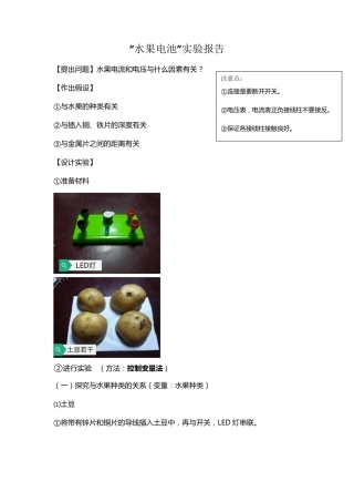“水果电池”实验报告