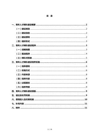 “雄鹰展翅”青年人才培养计划执行方案