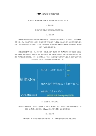 ☆☆☆RNA提取、电泳注意事项