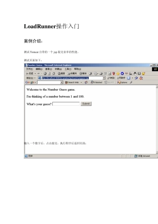 《LoadRunner中文使用手册完全版》