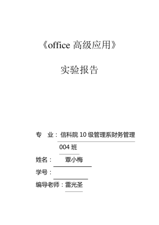 《office高级应用》实验报告