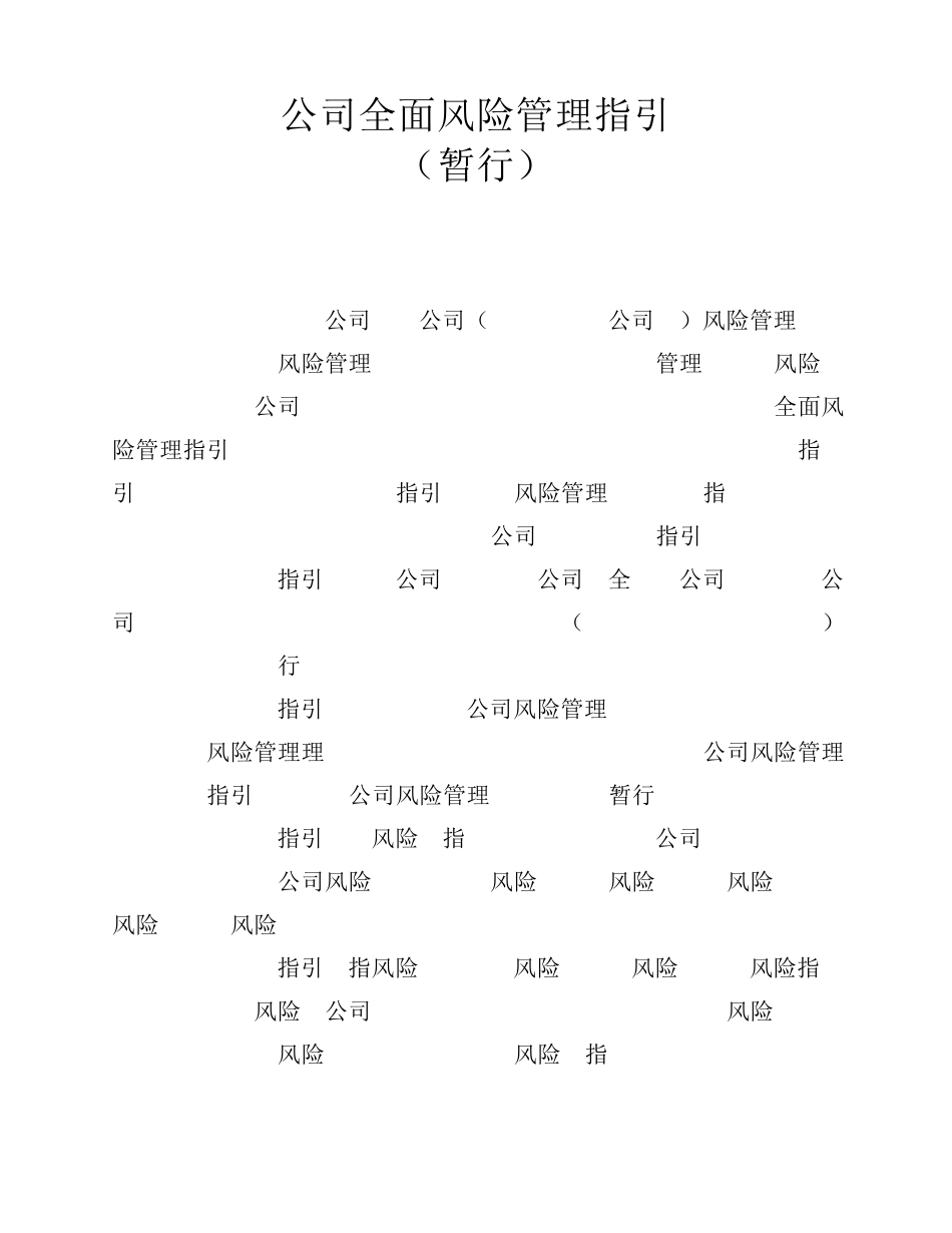 《公司全面风险管理指引》_第2页