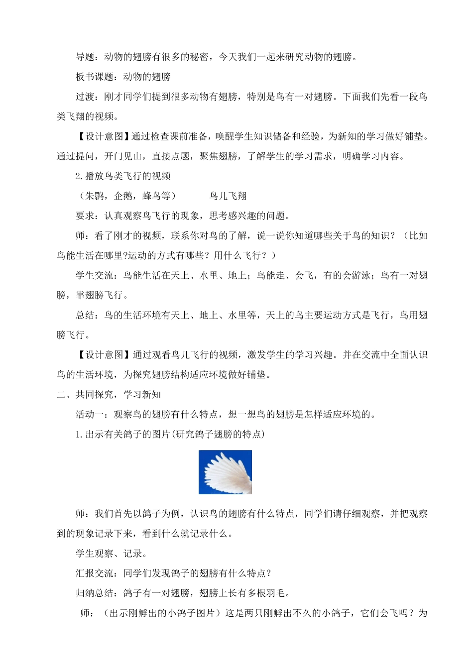 《动物的翅膀》教学设计_第3页