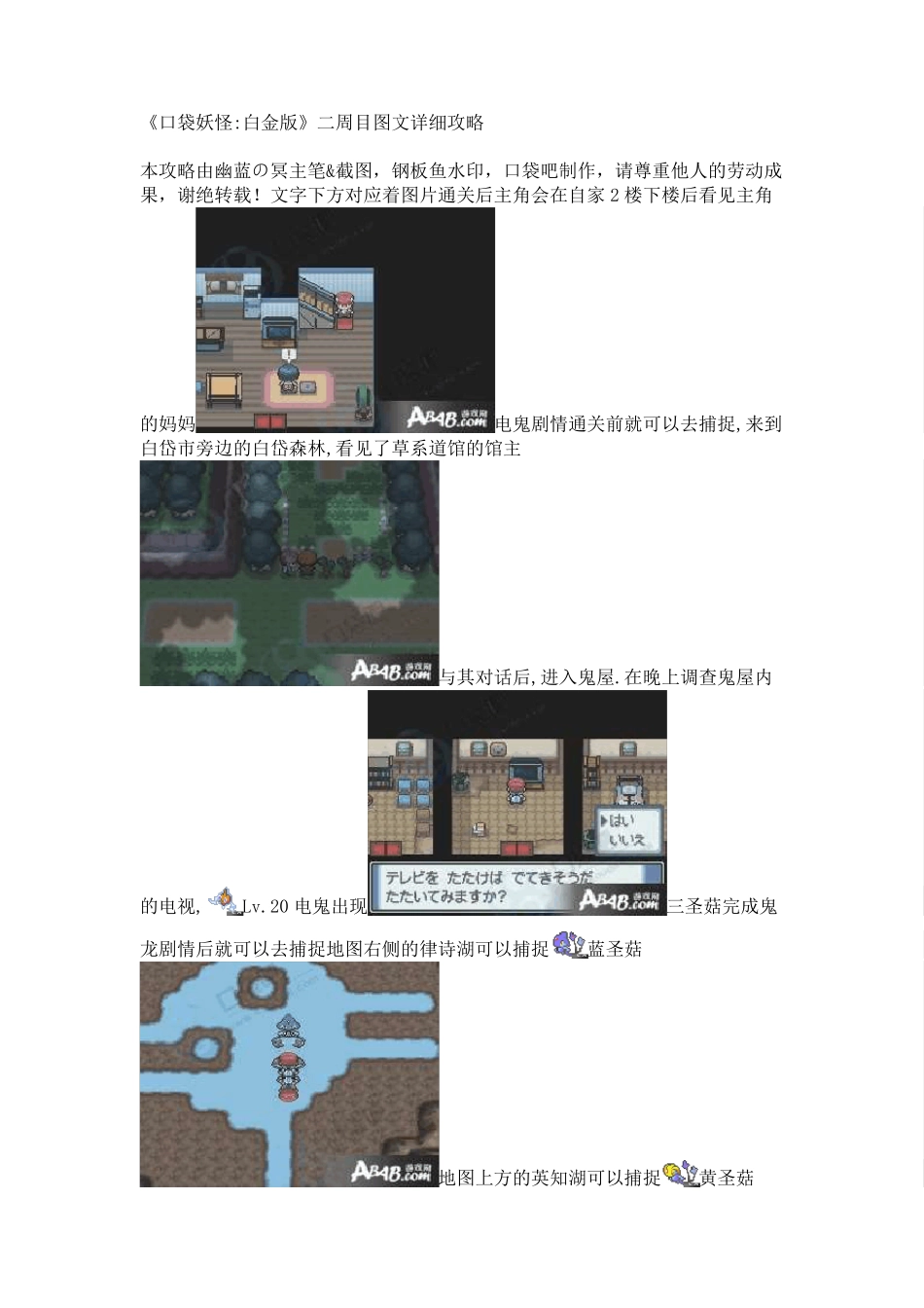 《口袋妖怪_白金版》二周目图文详细攻略_第1页