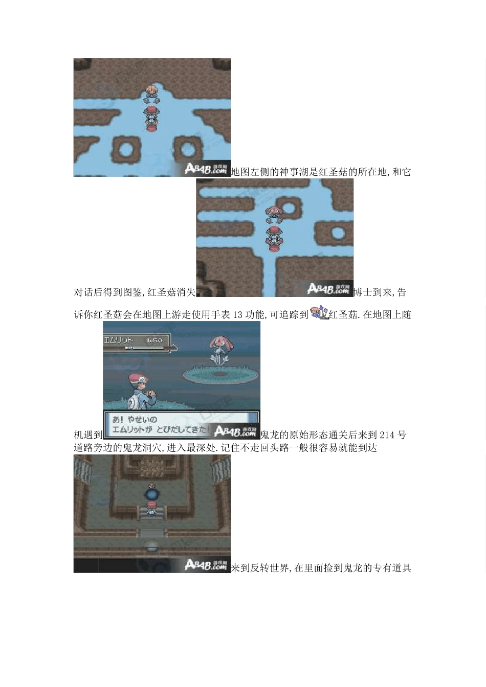 《口袋妖怪_白金版》二周目图文详细攻略_第2页