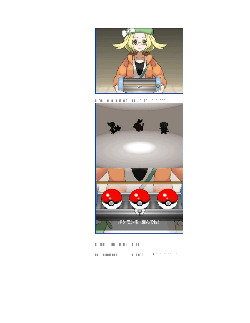 《口袋妖怪黑白2》文图攻略_第3页