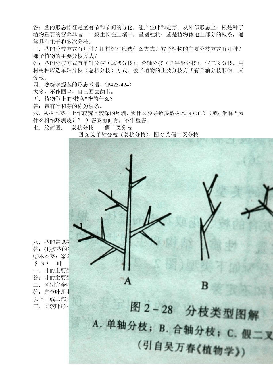 《园林植物学》复习思考题_第3页