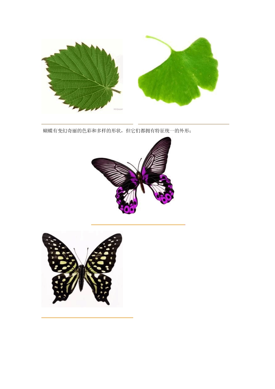 《图案基础》教案：第二课图案构成的形式美法则_第2页