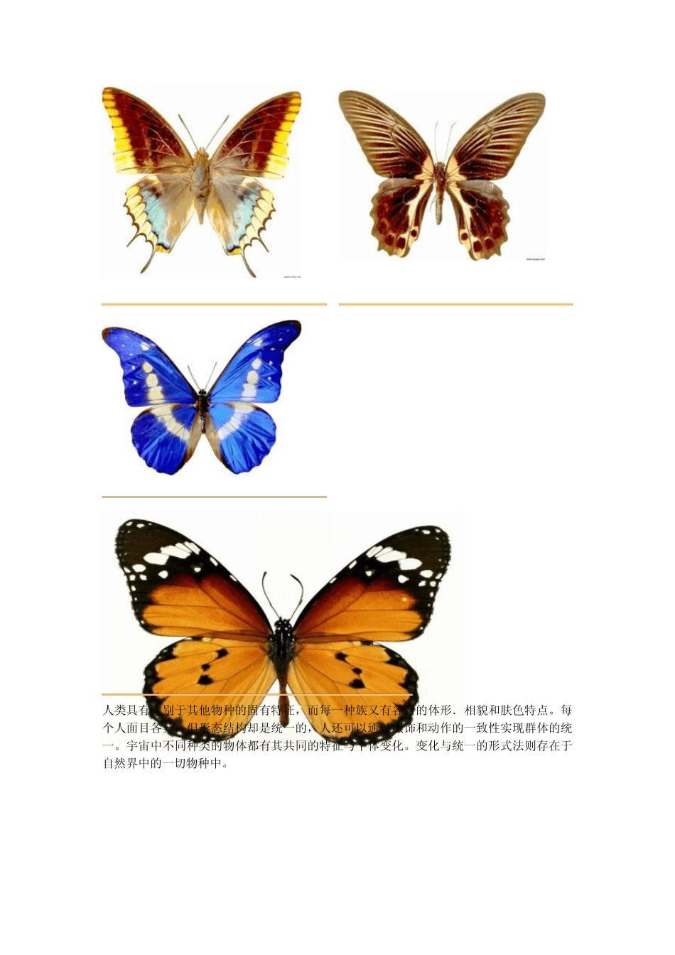《图案基础》教案：第二课图案构成的形式美法则_第3页