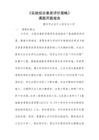 《实施综合素质评价策略》课题开题报告