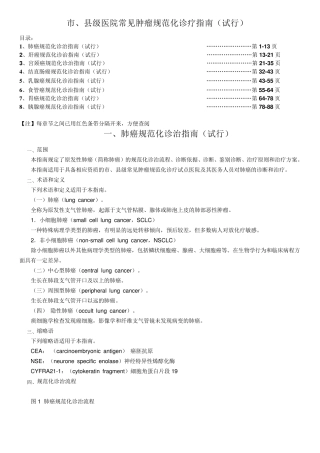 《市、县级医院常见肿瘤规范化诊疗指南》