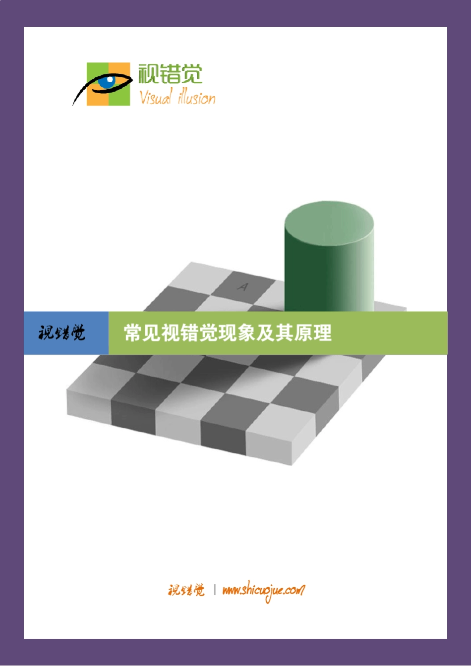 《常见视错觉现象及其原理》_第1页
