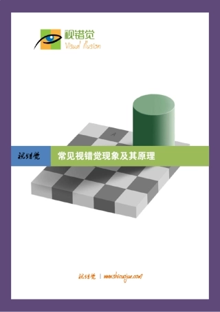 《常见视错觉现象及其原理》