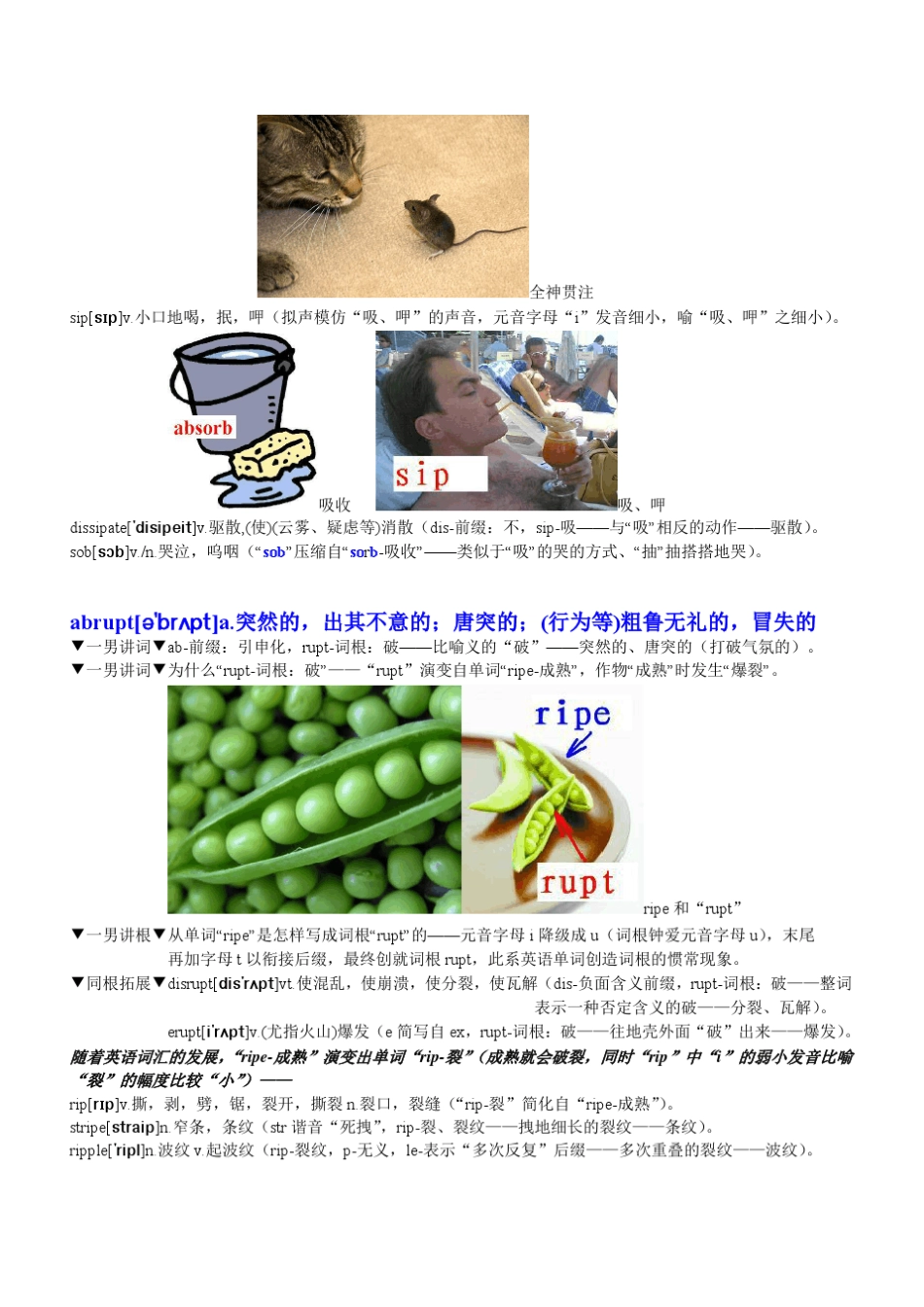 《托福词汇速记精典》上篇_第3页