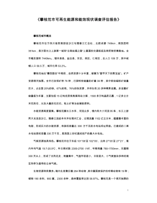 《攀枝花市可再生能源和能效现状调查评估报告》