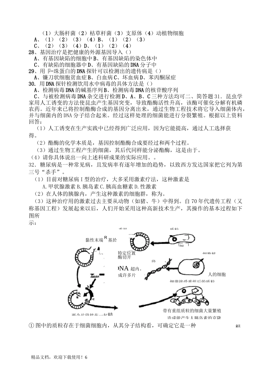 基因及基因工程_第3页