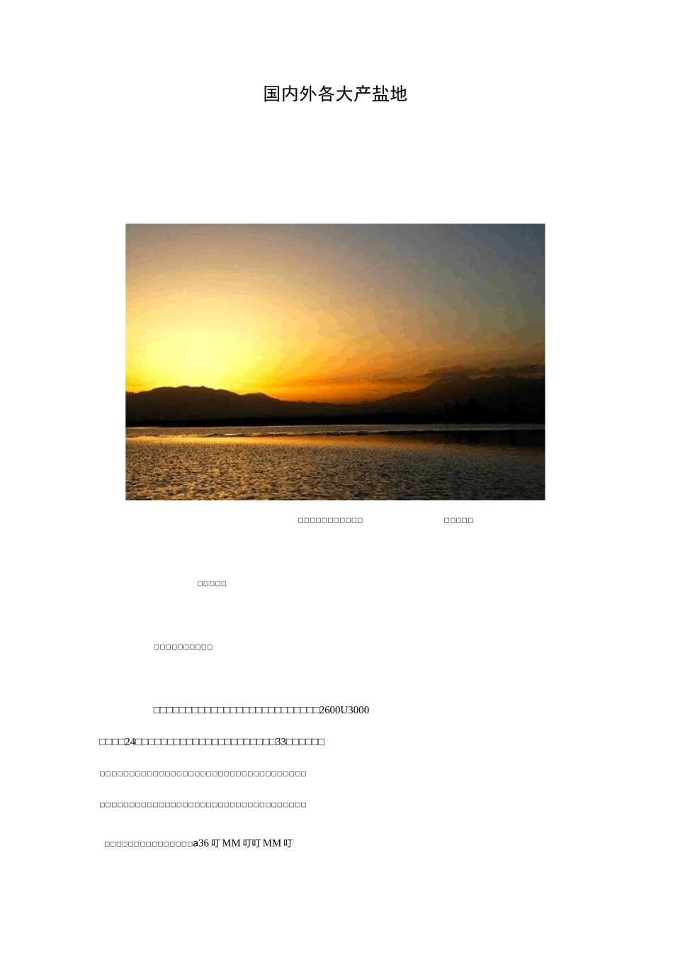 国内外各大产盐地_第1页
