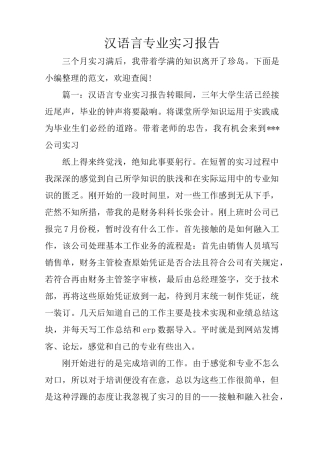 汉语言专业实习报告