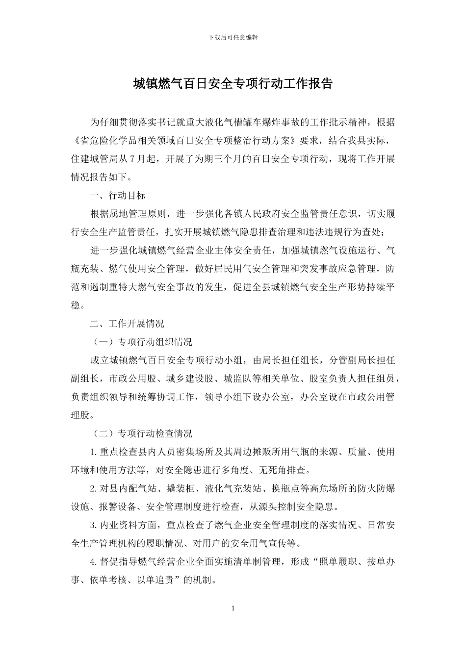 城镇燃气百日安全专项行动工作报告_第1页