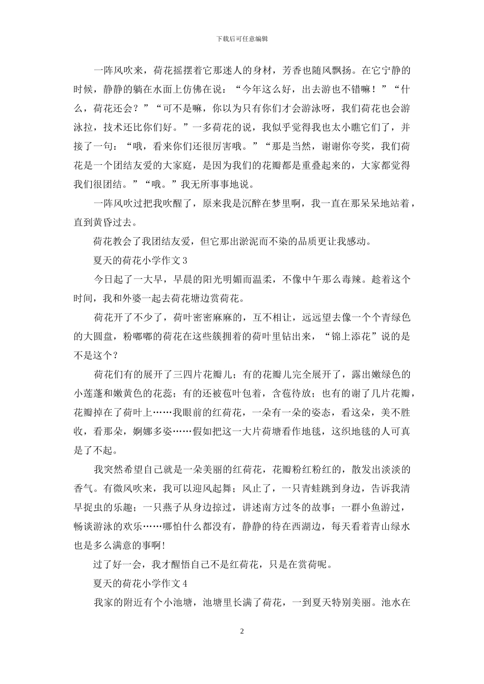 夏天的荷花小学作文_第2页