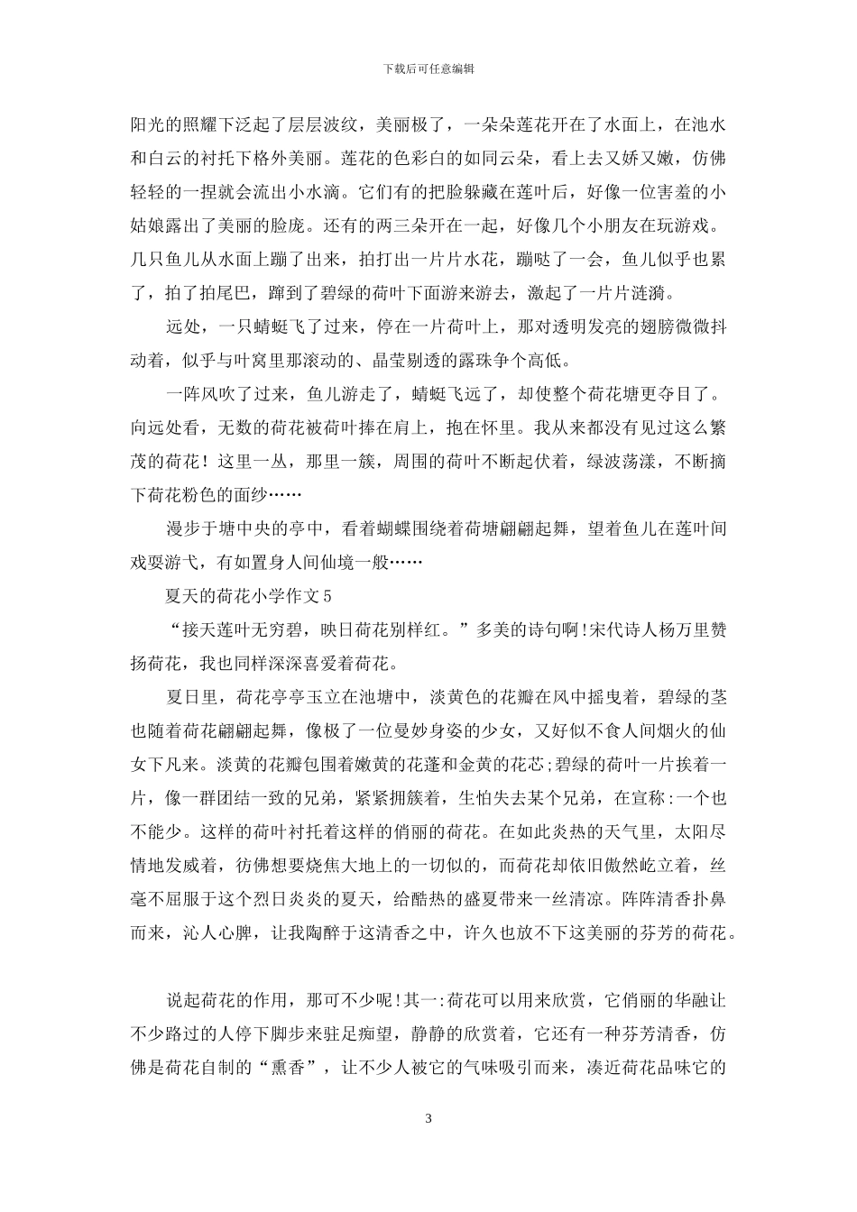 夏天的荷花小学作文_第3页