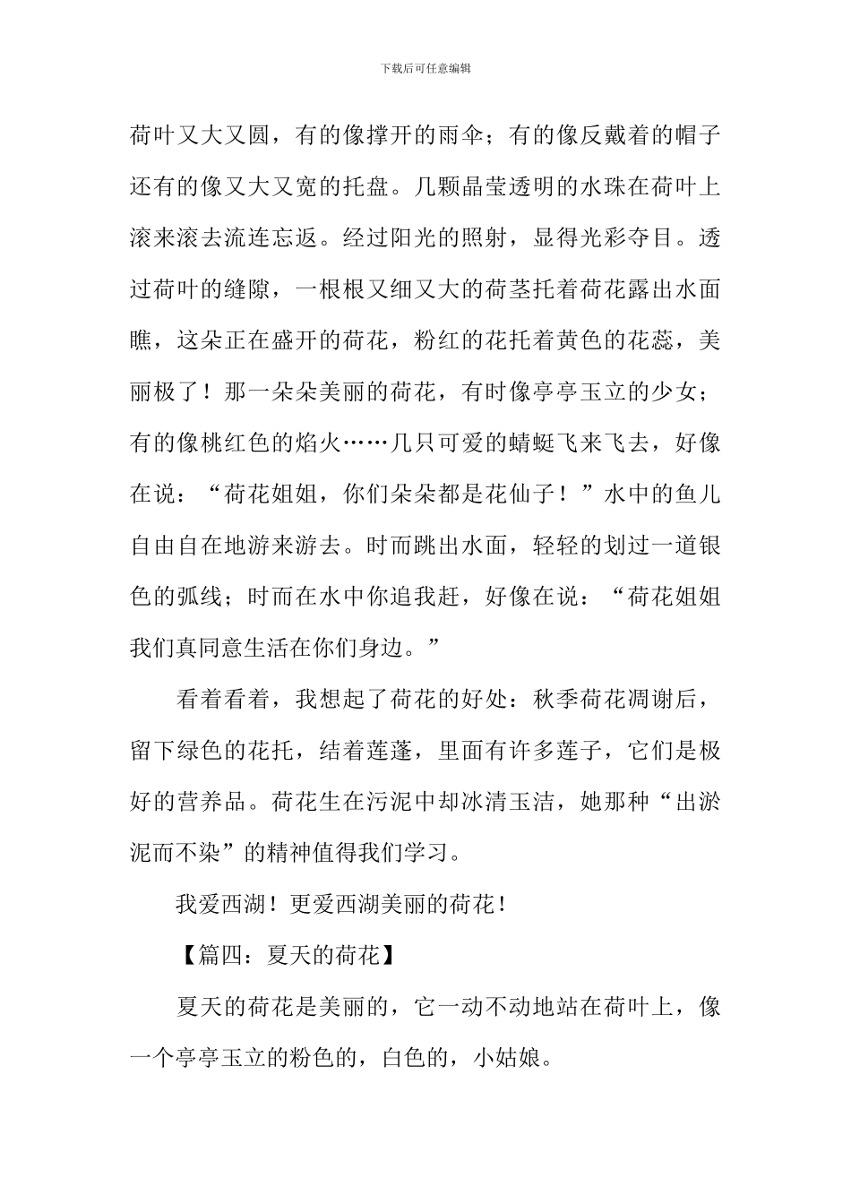 夏天的荷花作文400字_第3页