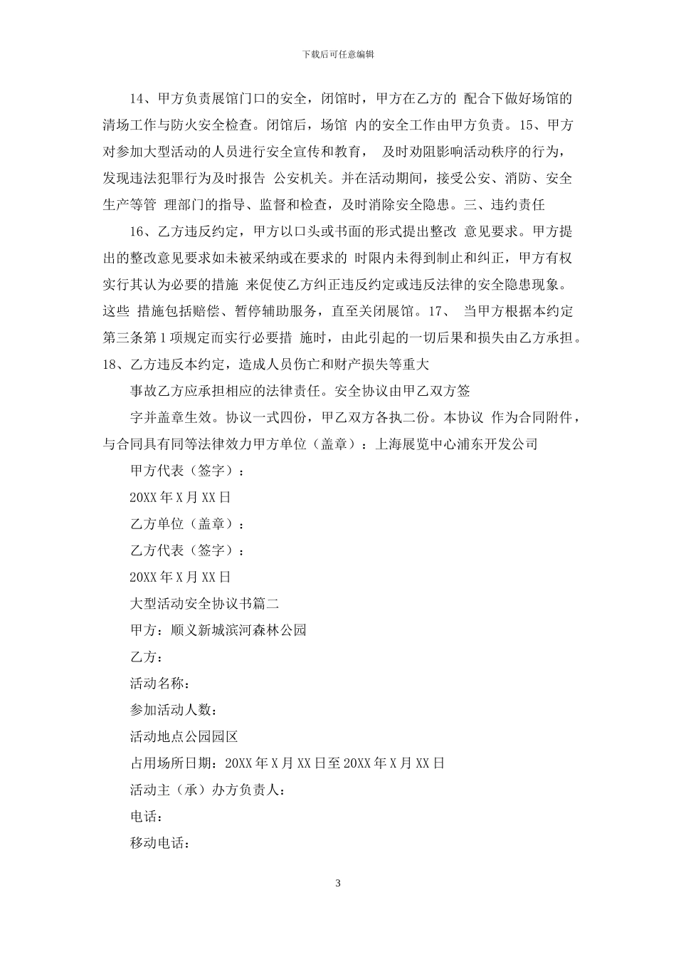 大型活动安全保障方案_第3页