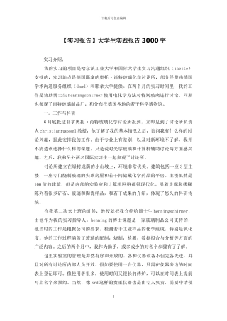 大学生实践报告3000字