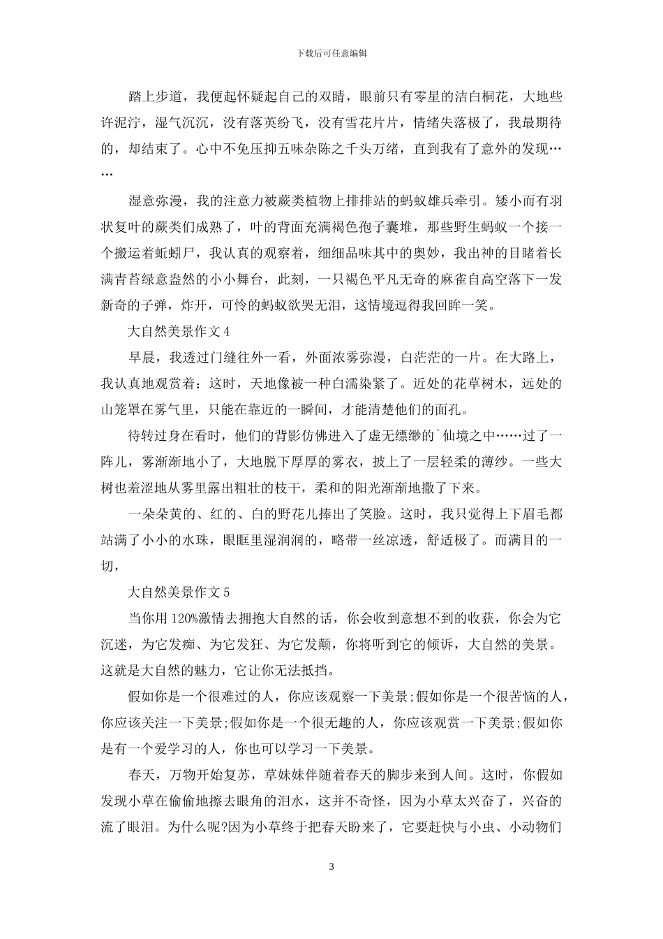 大自然美景作文_第3页