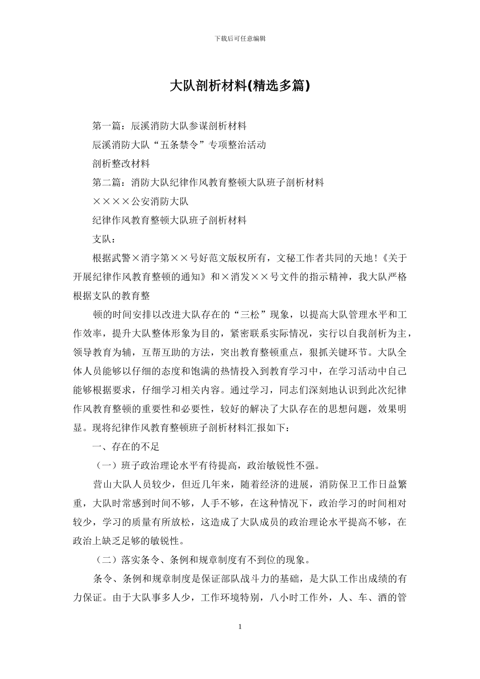 大队剖析材料_第1页