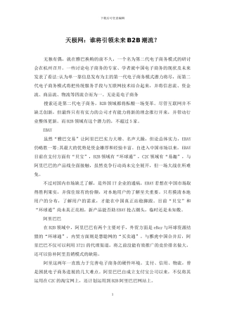 天极网：谁将引领未来B2B潮流？