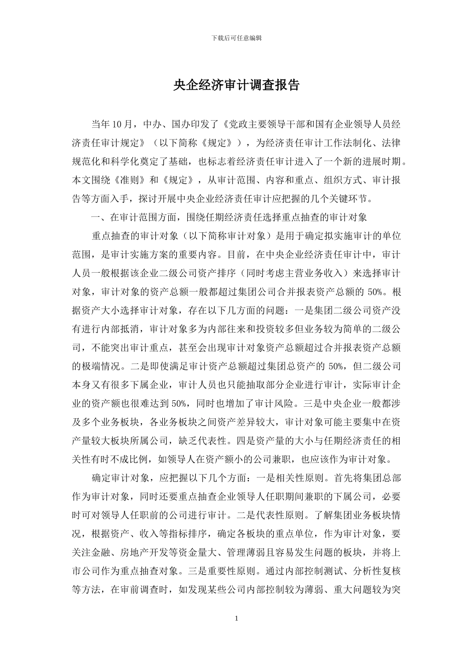 央企经济审计调查报告_第1页