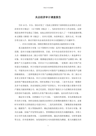 央企经济审计调查报告