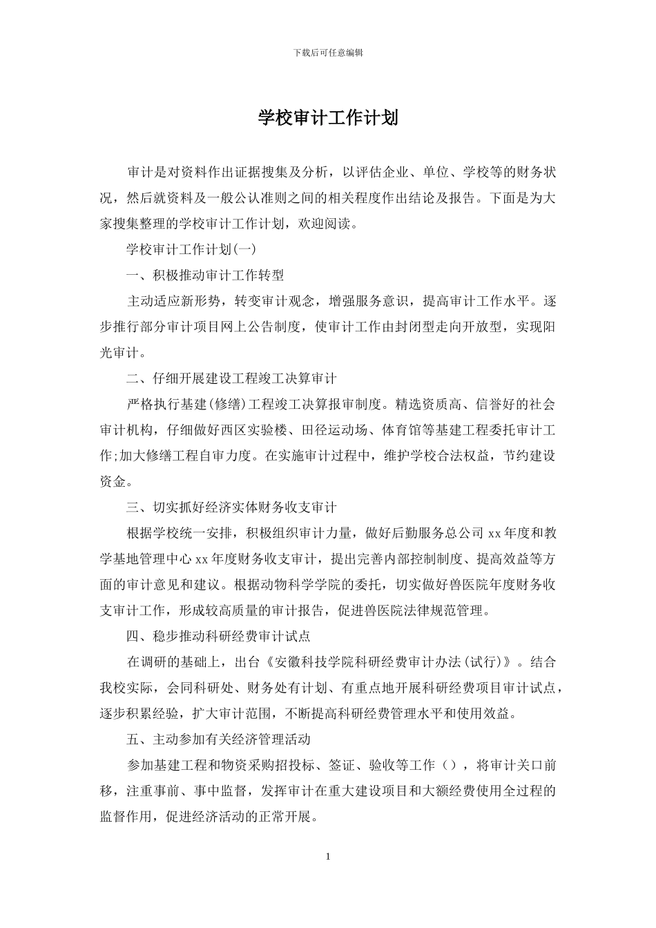学校审计工作计划_第1页