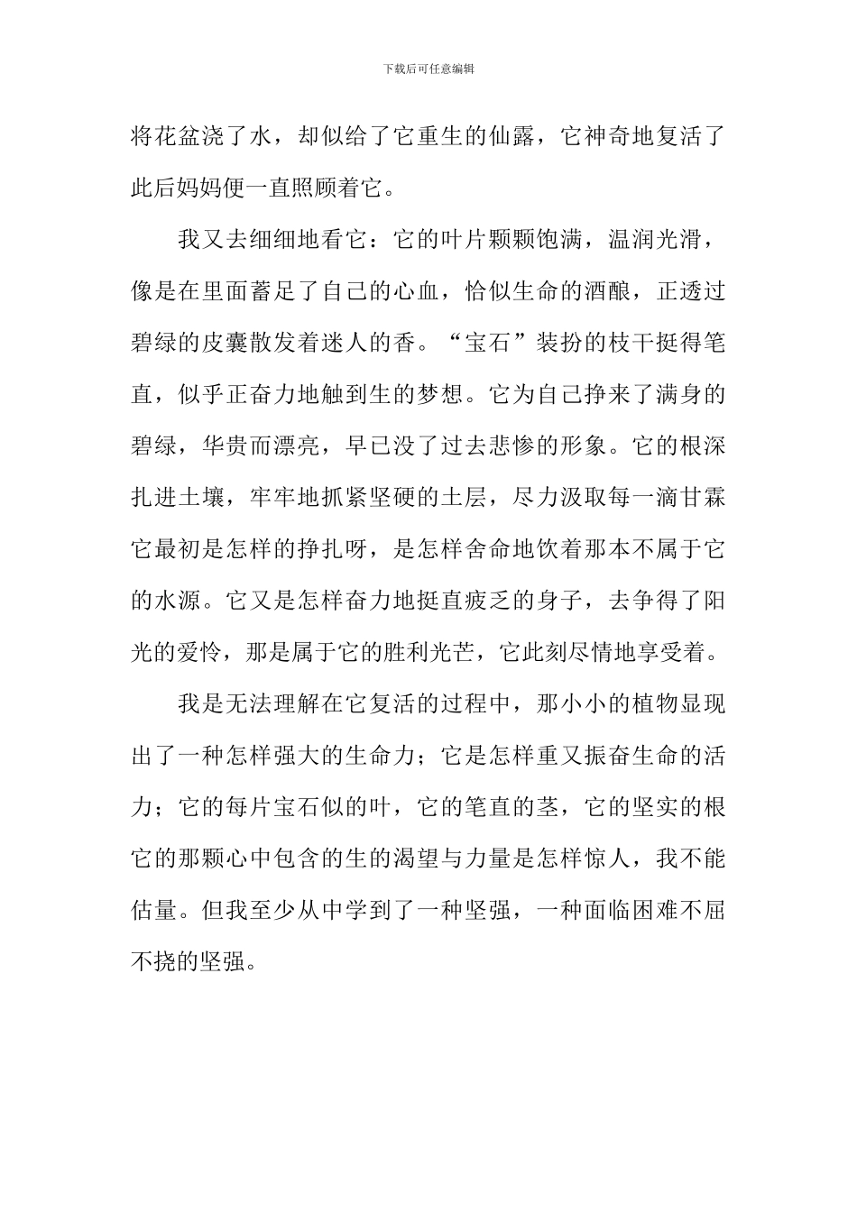 宝石花作文800字_第2页