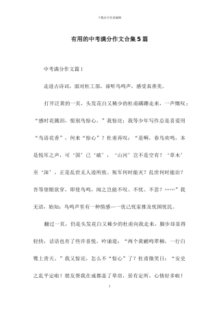 实用的中考满分作文合集5篇