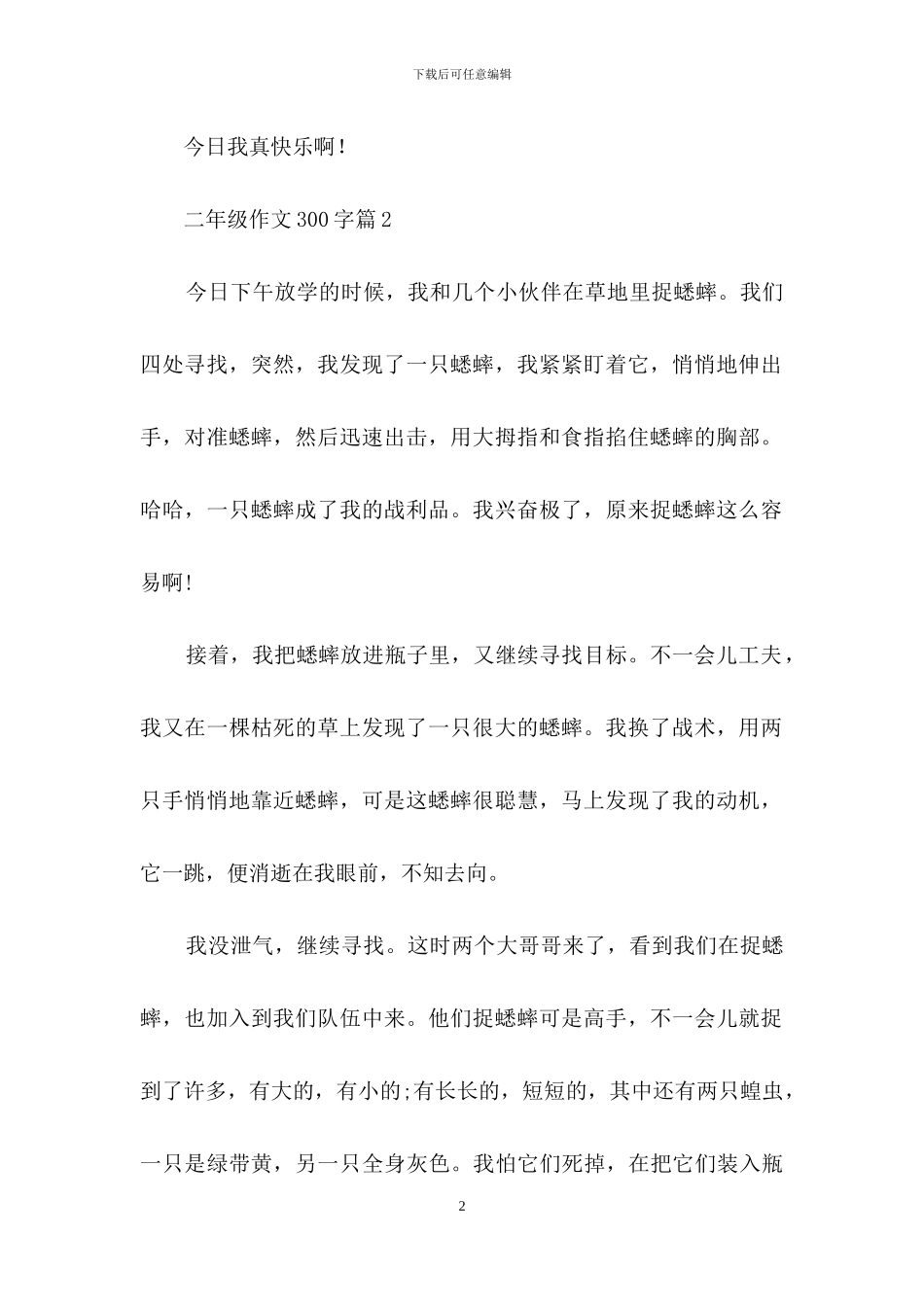 实用的二年级作文300字锦集5篇_第2页