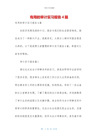 实用的审计实习报告4篇