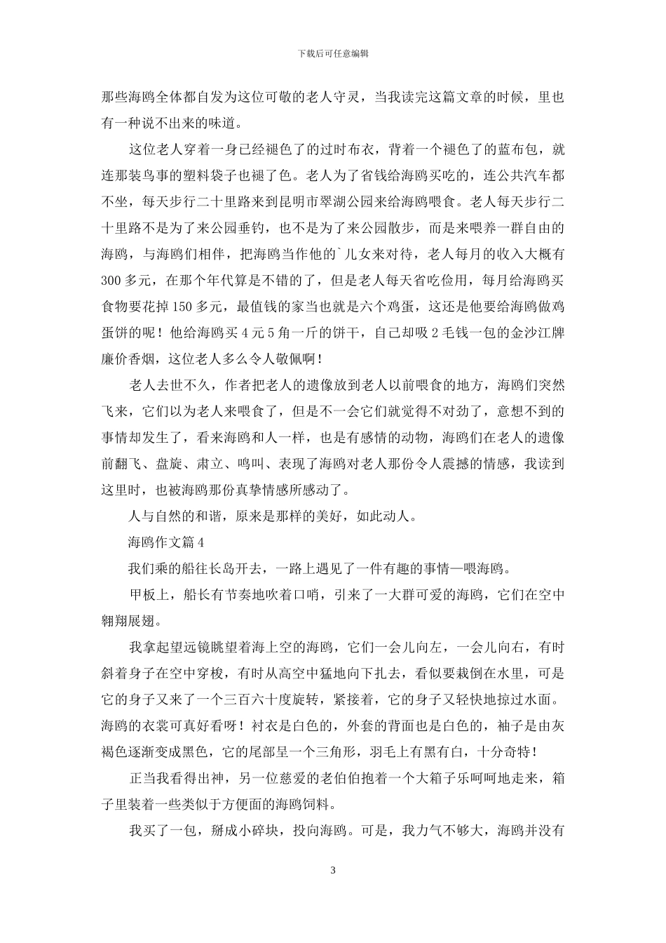 实用的海鸥作文7篇_第3页