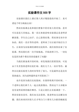 实验课作文500字
