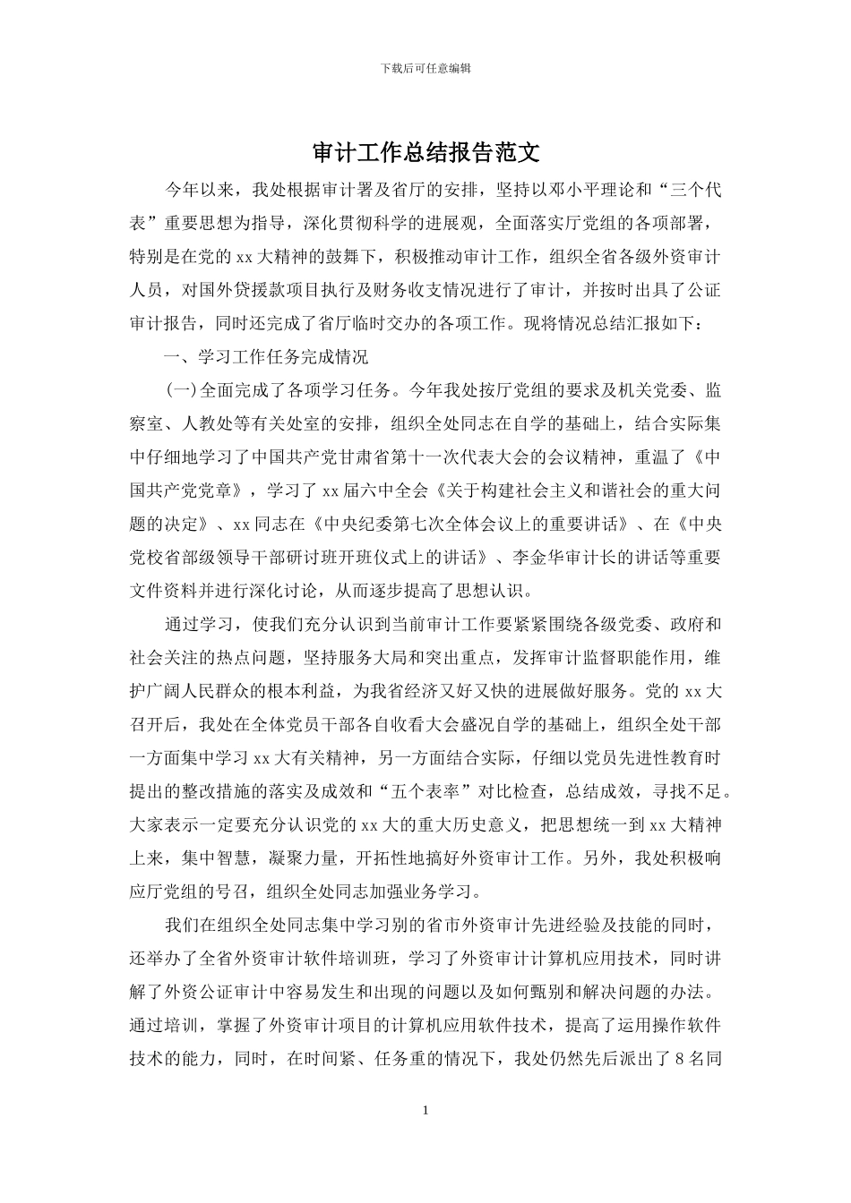 审计工作总结报告范文_第1页