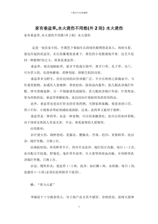 家有垂盆草-水火烫伤不用愁-水火烫伤