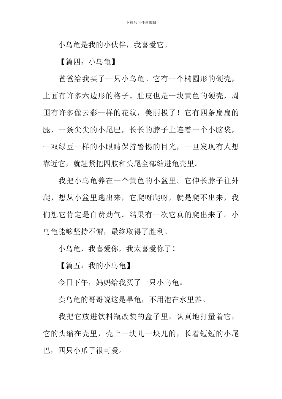 小乌龟作文200字-1_第3页