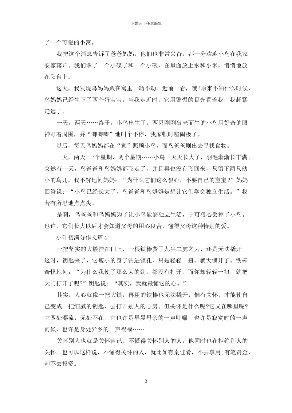 小升初满分作文8篇_第3页