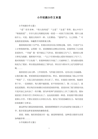 小升初满分作文8篇