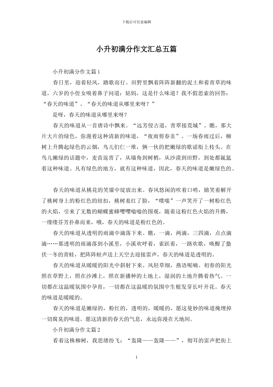 小升初满分作文汇总五篇_第1页