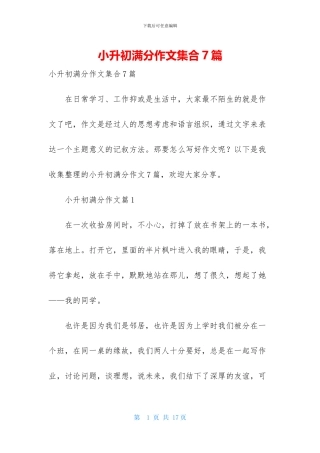 小升初满分作文集合7篇