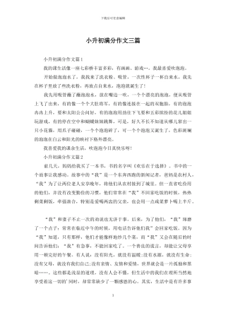 小升初满分作文三篇