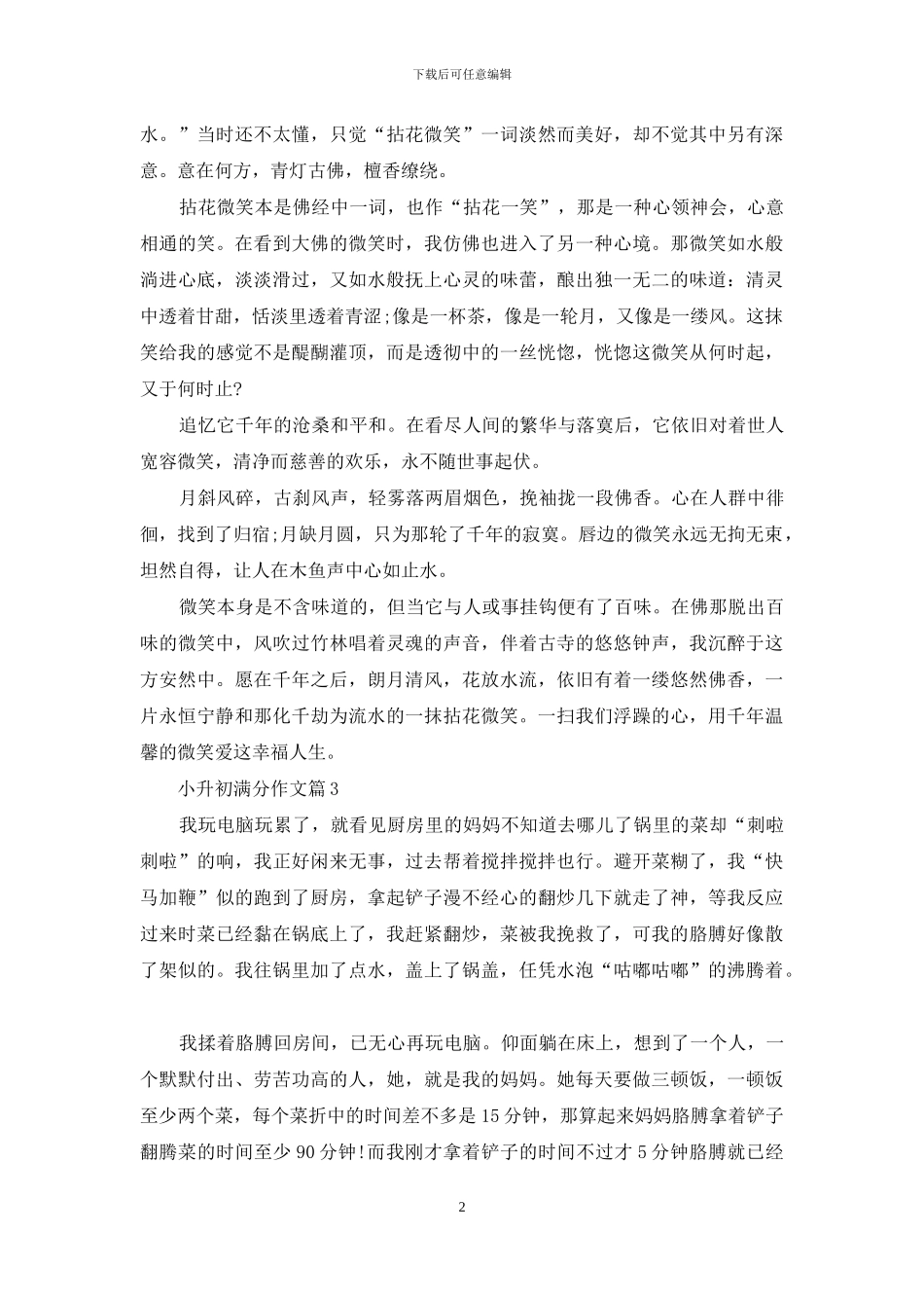 小升初满分作文锦集六篇_第2页