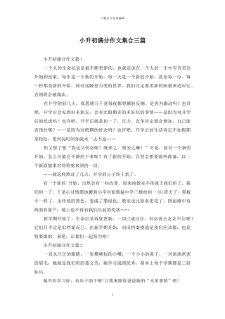 小升初满分作文集合三篇